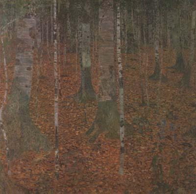 Gustav Klimt Birch Wood (mk20) France oil painting art